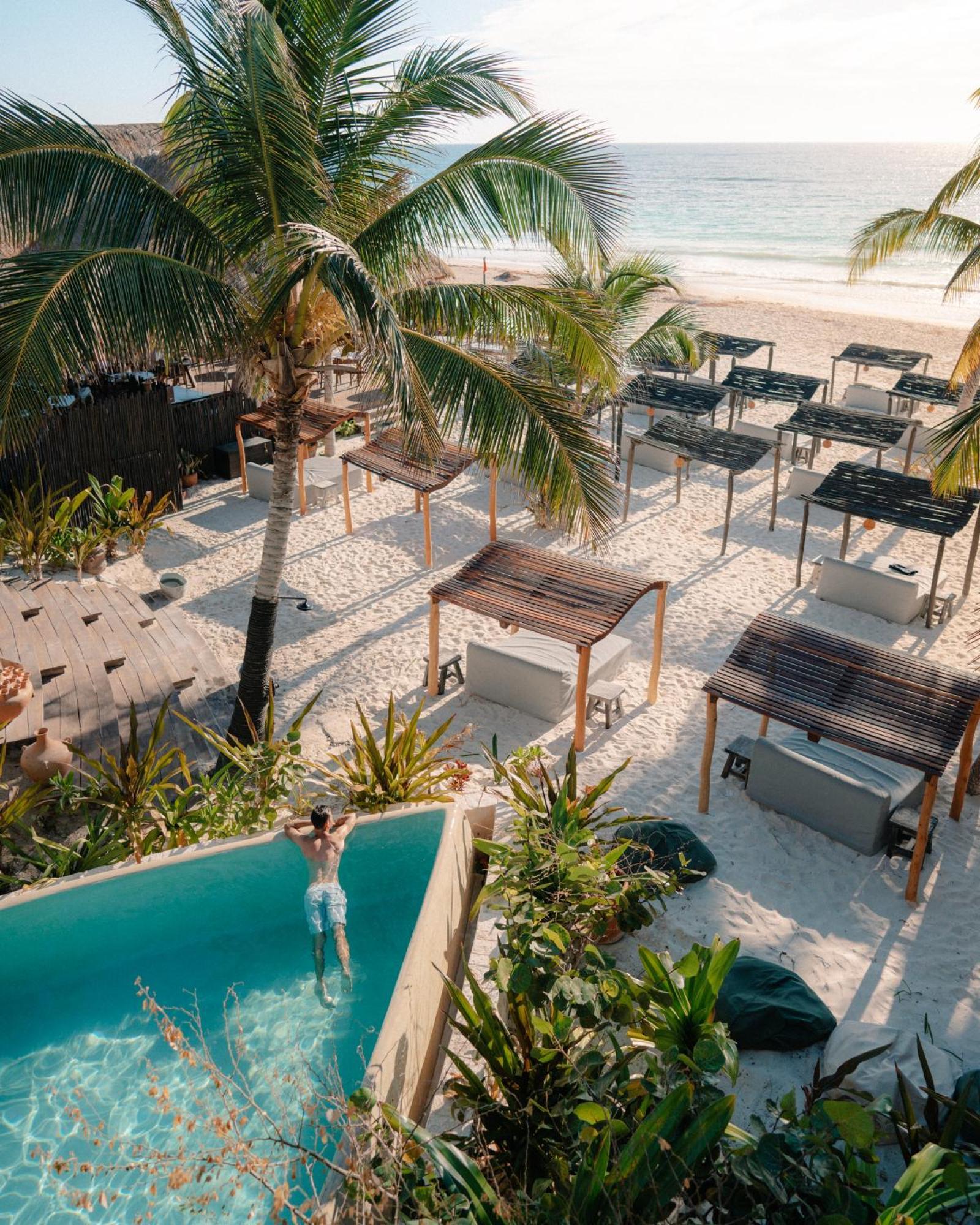 Dhalia - Private Roof With Pool & Beach Club Access Tulum Eksteriør bilde